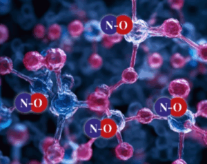 Nitric Boost Ultra Working